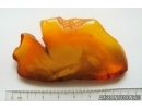 Genuine Unique Color Antique Broshe Baltic amber stone 19 g #st-067