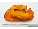 Genuine Unique Color Antique Broshe Baltic amber stone 19 g #st-067