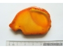 Genuine Antique Baltic amber stone 9.2 g #st-068