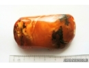 Genuine Unique Color Antique Broshe Baltic amber stone 20 g #st-071
