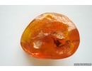 Genuine Antique Baltic amber stone 20 g #st-073