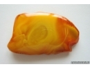 Genuine Antique Baltic amber stone 17.4 g #st-074