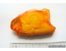 Genuine Antique Baltic amber stone 17.4 g #st-074
