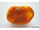 Genuine Antique Baltic amber stone 23 g #st-075