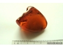 Genuine Antique Baltic amber stone 19 g #st-076