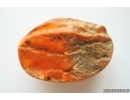 Genuine Antique Baltic amber stone 13 g #st-077