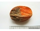 Genuine Antique Baltic amber stone 13 g #st-077