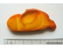 Genuine Antique Baltic amber stone 7.2 g #st-078