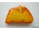 Genuine Antique Baltic amber stone 10.2 g #st-079
