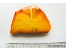 Genuine Antique Baltic amber stone 10.2 g #st-079