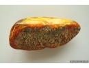 Genuine Antique Baltic amber stone 21 g #st-080