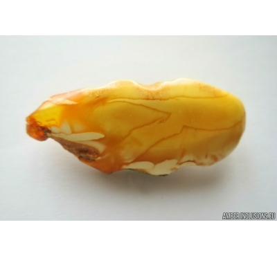Genuine Unique Color Antique Broshe Baltic amber stone 7.6 g #st-081