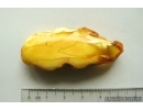 Genuine Unique Color Antique Broshe Baltic amber stone 7.6 g #st-081