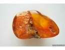 Genuine Antique Baltic amber stone 21.5 g #st-082