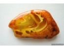Genuine Antique Baltic amber stone 14.2 g #st-083