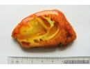 Genuine Antique Baltic amber stone 14.2 g #st-083