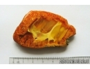 Genuine Antique Baltic amber stone 14.2 g #st-083