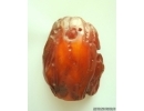 Genuine Big 160g Antique Baltic amber stone #st-086