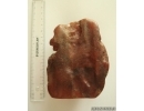Genuine Big 160g Antique Baltic amber stone #st-086