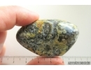 Genuine extremely rare blue color Baltic amber stone #st-087