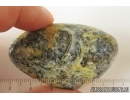 Genuine extremely rare blue color Baltic amber stone #st-087