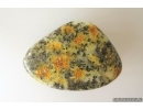 Genuine extremely rare blue color Baltic amber stone #st-087