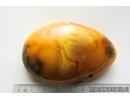 Genuine Antique Baltic amber stone 51 g #st-089