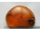 Genuine Antique Baltic amber stone 97 g #st-090