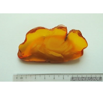 Genuine Unique Color Antique Broshe Baltic amber stone 15.7g #st-044